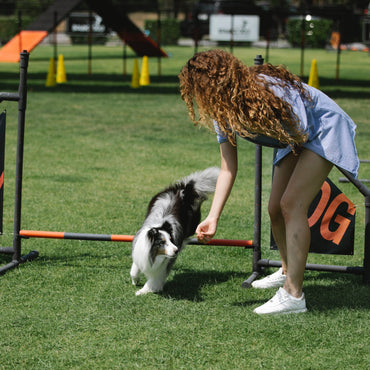 Pet Services
