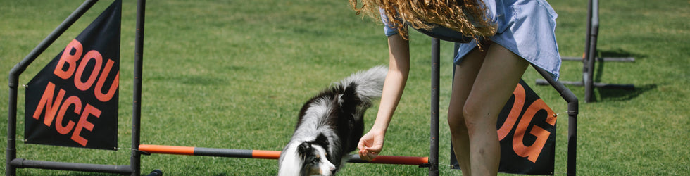 Pet Services