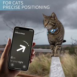 Cat Supplies