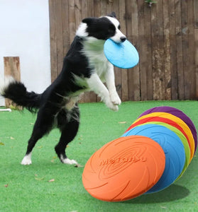 Fashion Dog Toy Flying Discs for Interactive Fun