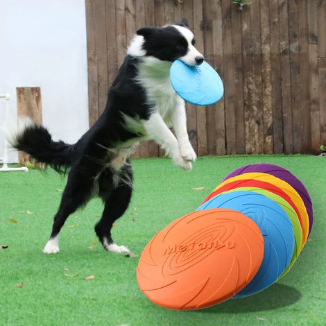 Fashion Dog Toy Flying Discs for Interactive Fun