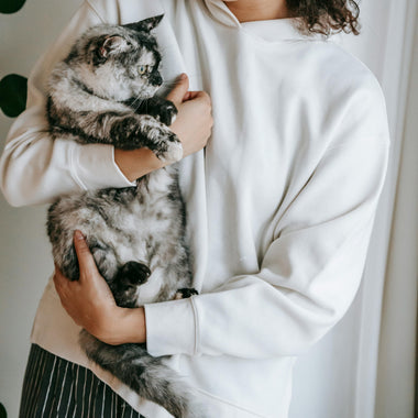Pet Care Services for Dogs and Cats