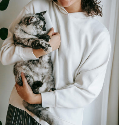 Pet Care Services for Dogs and Cats