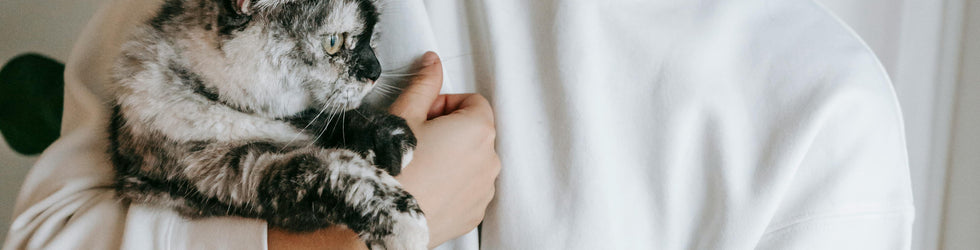 Pet Care